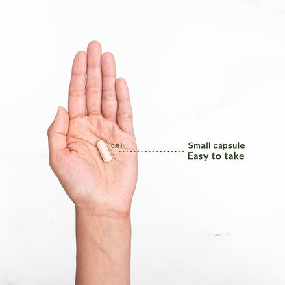 Blood Sugar Smarts - 20 Key Herbs, Minerals & Vitamins - with Chromium, Alpha Lipoic Acid, Cinnamon & Bitter Melon, for Men Women- Non-GMO Natural- 120 Capsules 60 Day Supply