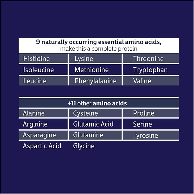 Biochem 100% Whey Isolate Protein - Chocolate Flavor - 30.9 Ounce - Supports Immune Health - Easily Digestible - Refreshing Taste - 20g Vegetarian Protein - Amino Acids…