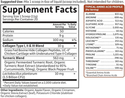 Garden of Life Multi-Sourced Collagen Turmeric - Apple Cinnamon, 20 Servings, Collagen Powder for Women Men Joints Mobility, Collagen Peptides Powder, Collagen Protein Hydrolyzed Collagen Supplements
