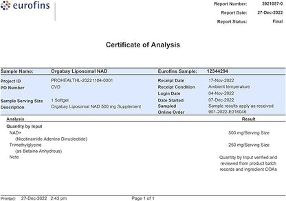 Liposomal NAD+ Supplement 500 mg, High Absorption, Boost NAD+ with TMG 250 mg, Actual NAD Plus More Efficient Than Nicotinamide Riboside, Support Cellular Energy, Healthy Aging | 240 Softgels