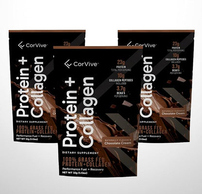 Protein + Collagen Powder | 23g Protein (Grass-Fed Whey + Collagen) | 3.7g BCAAs | Supports Muscle & Joint Health | Gluten & Soy Free | No Artificial Ingredients | 15 Sachets - Chocolate