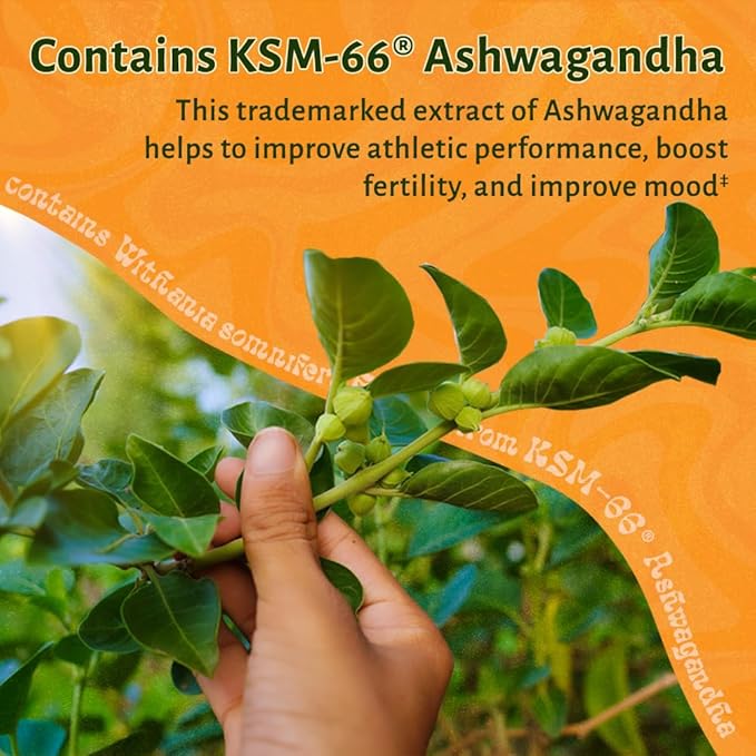 LUV Everyday™ Men's Multivitamin Men's Adult Formula Daily Nutritional Support with Iron Calcium KSM-66 Ashwaganda CoQ10 and Lycopene - Highly Bioavailable Non GMO Gluten Free Vegetarian - 60 Capsules