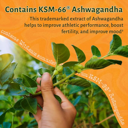 LUV Everyday™ Men's Multivitamin Men's Adult Formula Daily Nutritional Support with Iron Calcium KSM-66 Ashwaganda CoQ10 and Lycopene - Highly Bioavailable Non GMO Gluten Free Vegetarian - 60 Capsules