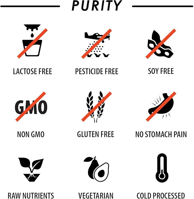 Vegan Superfood Daily Keto MultiVitamin for Men and Women BCAA BCCA Amino Acid Powder Packets Orange Mix Won't Upset Your Stomach Powdered Digestive Enzymes Vitamin B Natural Flavoring Energy Complex