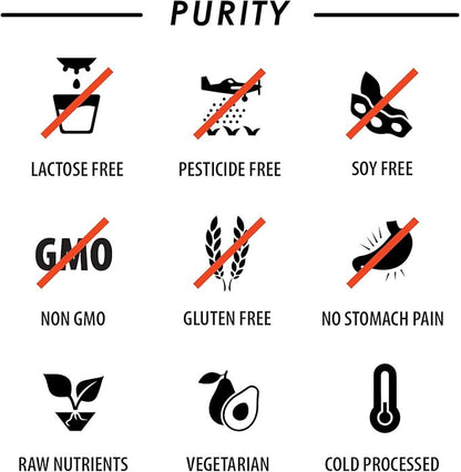 Vegan Superfood Daily Keto MultiVitamin for Men and Women BCAA BCCA Amino Acid Powder Packets Orange Mix Won't Upset Your Stomach Powdered Digestive Enzymes Vitamin B Natural Flavoring Energy Complex