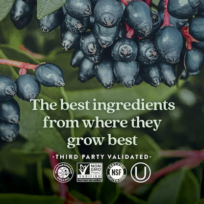 New Chapter® Vitamin C Immune Defense Supplement + Elderberry – Excellent Source of Vitamin C, One Daily Tablet for Healthy Immune Support, Made with Organic Herbs, Non-GMO, Gluten Free, 30 ct