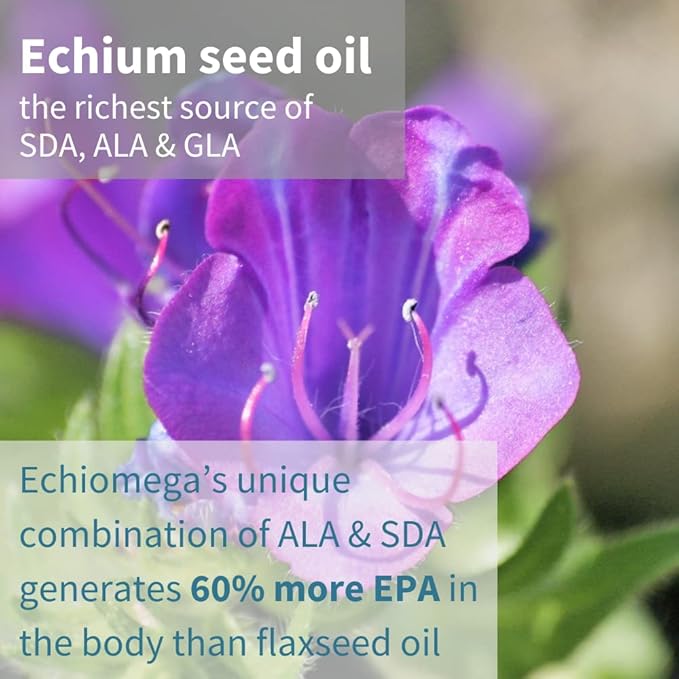 Echiomega Vegan Triple Omega 3 6 9 500 mg, Echium Seed Oil, EFA Supplement for Women with GLA, 60 Softgels