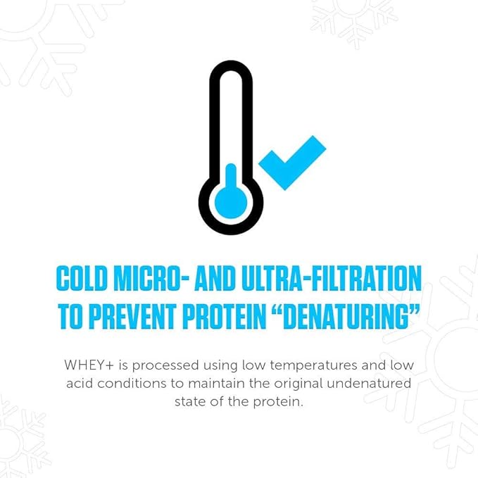 LEGION Whey+ Whey Protein Powder (French Vanilla) - Low Calorie Whey Isolate Protein Powder - Non-GMO, Lactose-Free, Sugar-Free Whey Protein Isolate Powder - Grass Fed Protein (60 Servings)