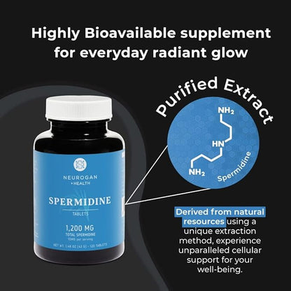 Neurogan Spermidine Supplement - 1200mg - 99% Pure 100x More Potent Than Rice & Wheat Germ Extract - for Cellular Health, Anti-Aging & Energy* - Made in USA - 10MG Per Serving - 120 Servings