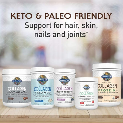 Garden of Life Grass Fed Collagen Creamer Powder - Chocolate, 12 Servings, Collagen Powder for Coffee Energy Beauty Joints, Collagen Peptides Powder, Coconut MCTs, Keto Collagen Protein Supplements