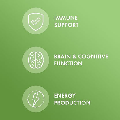 Dr. Mercola Multivitamin Mini-Tabs, 30 Servings (300 Tablets), with 8 Key Nutrients, Dietary Supplements, Supports Immune and Brain Health, Non-GMO