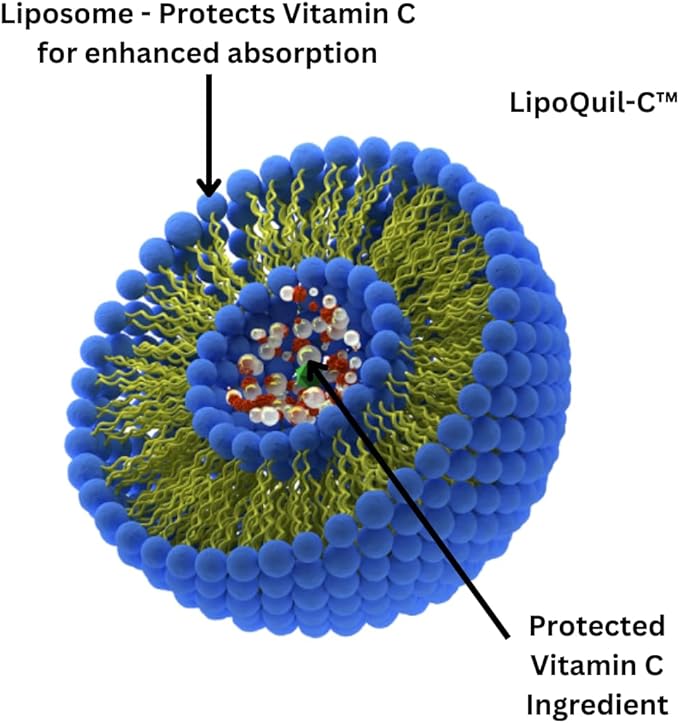 Research Labs Liposomal Vitamin C Supplement w/Enhanced Absorption LipoQuil-C™ | 120 Capsules Immune Support Collagen Booster | High Dose Fat Soluble Vita C 1000mg Buffered | Non GMO, Vegan Pills