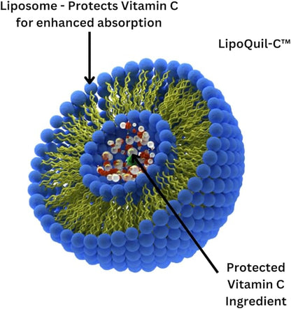 Research Labs Liposomal Vitamin C Supplement w/Enhanced Absorption LipoQuil-C™ | 120 Capsules Immune Support Collagen Booster | High Dose Fat Soluble Vita C 1000mg Buffered | Non GMO, Vegan Pills