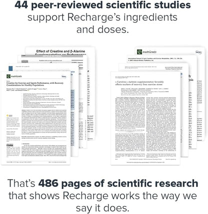 LEGION Recharge Post Workout Supplement - All Natural Muscle Builder & Recovery Drink with Micronized Creatine Monohydrate Naturally Sweetened & Flavored, (Strawberry Kiwi, 60 Serving)