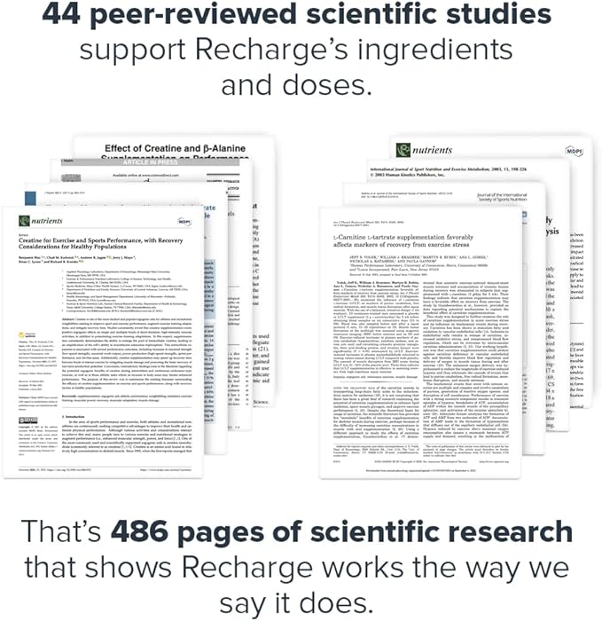 LEGION Recharge Post Workout Supplement - All Natural Muscle Builder & Recovery Drink with Micronized Creatine Monohydrate Naturally Sweetened & Flavored (Arctic Blast, 30 Servings Pack of 1)