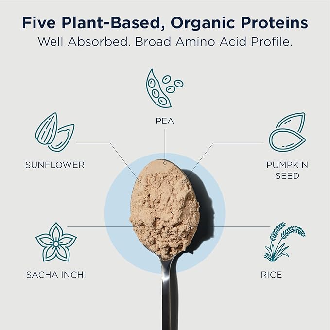 Designs for Health Phytotein Vegan Protein Powder - 20g Organic Rice, Sacha Inchi, Pumpkin Seed, Sunflower Seed & Pea Protein Powder Blend - Creamy Texture, Chocolate Plant Protein (510g)