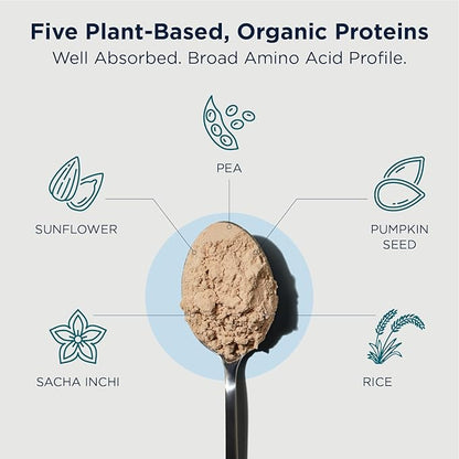 Designs for Health Phytotein Vegan Protein Powder - 20g Organic Rice, Sacha Inchi, Pumpkin Seed, Sunflower Seed & Pea Protein Powder Blend - Creamy Texture, Chocolate Plant Protein (510g)