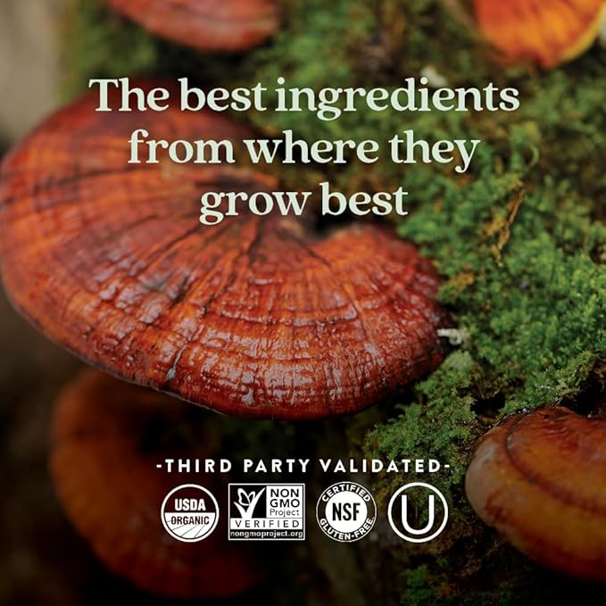 New Chapter Fermented Vitamin D3 2,000 IU, Organic, ONE Daily for Immune, Heart & Bone Support + Whole-Food Turmeric, Adaptogenic Reishi Mushroom, 100% Vegetarian, Gluten Free, 90 Count