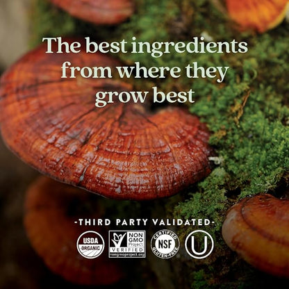 New Chapter Fermented Vitamin D3 2,000 IU, Organic, ONE Daily for Immune, Heart & Bone Support + Whole-Food Turmeric, Adaptogenic Reishi Mushroom, 100% Vegetarian, Gluten Free, 90 Count