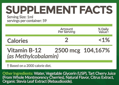 Bio Naturals Vitamin B12 Liquid Drops for Adults & Kids - 100% Natural Sublingual Methylcobalamin - Highest Absorption - Energy & Brain Booster Helps with Fatigue & Weakness - Wild Berry - 2 fl oz