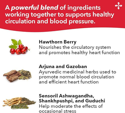 LifeSeasons B/P Stabili-T - Blood Pressure Support - Vitamin Supplement for Healthy Heart & Blood Circulation - Ashwagandha, Arjuna, Gotu Kola & Hawthorn Berry - 120 Capsules
