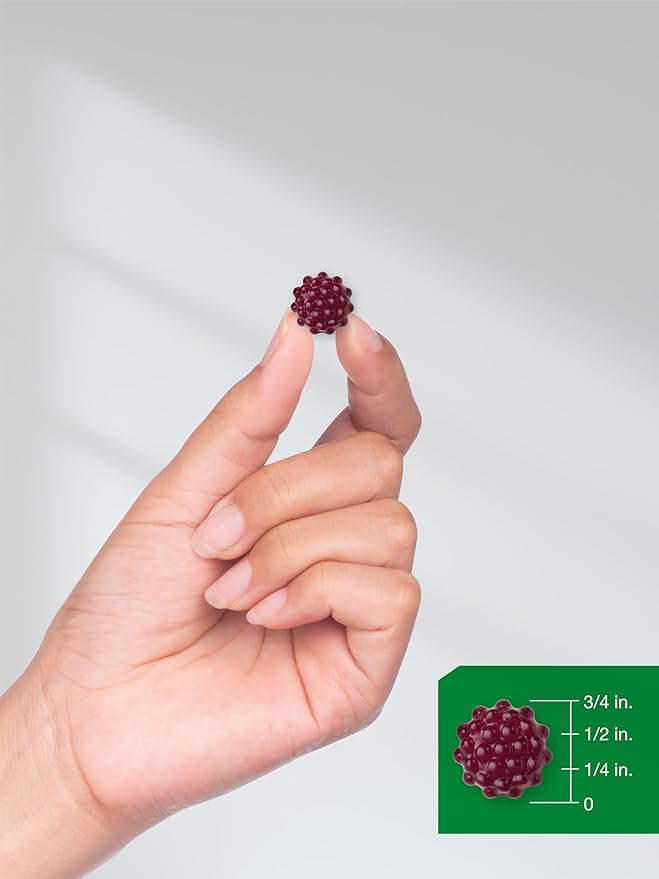 Horbaach Black Elderberry Gummies | 120 Count | Sambucus Extract | with Zinc and Vitamin C | Berry Flavor | Vegan, Non-GMO, and Gluten Free Supplement for Adults