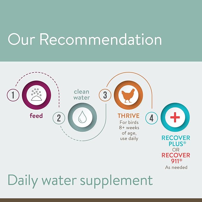 Thrive, Daily Probiotic & Prebiotic Water Supplement for Chickens 8+ Weeks Old, 8 oz (Pack of 2)