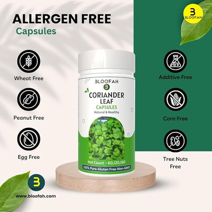 Coriander Leaf Capsules 500mg - 120 Count | 100% Pure Coriander Extract 10:1 (Coriandrum sativum) Leaf Powder Supplement | Natural Body Cleansing & Detox | Non-GMO, Gluten Free Formula