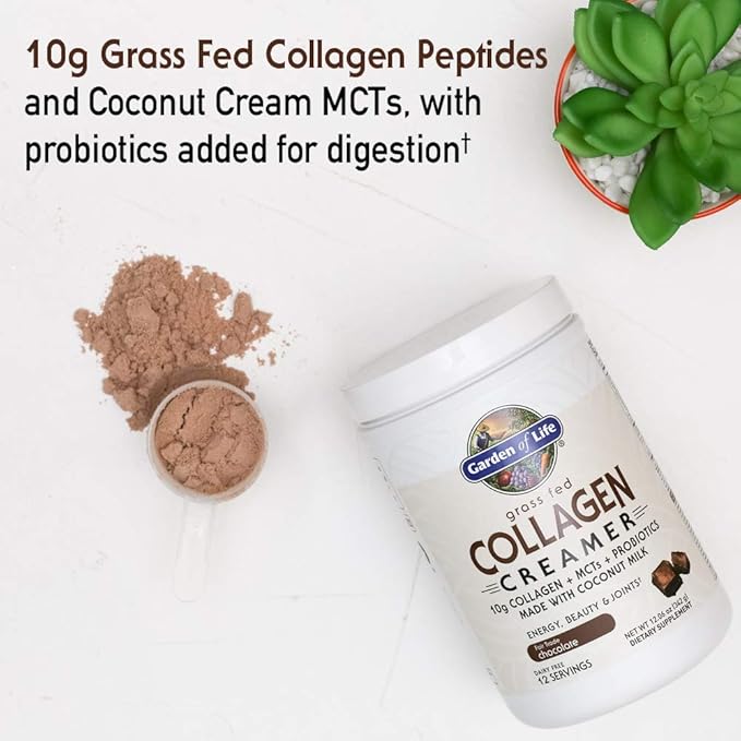 Garden of Life Grass Fed Collagen Creamer Powder - Chocolate, 12 Servings, Collagen Powder for Coffee Energy Beauty Joints, Collagen Peptides Powder, Coconut MCTs, Keto Collagen Protein Supplements
