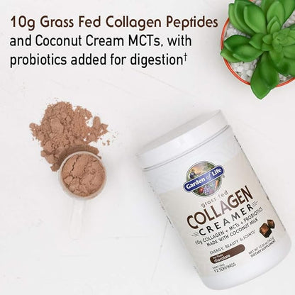 Garden of Life Grass Fed Collagen Creamer Powder - Chocolate, 12 Servings, Collagen Powder for Coffee Energy Beauty Joints, Collagen Peptides Powder, Coconut MCTs, Keto Collagen Protein Supplements