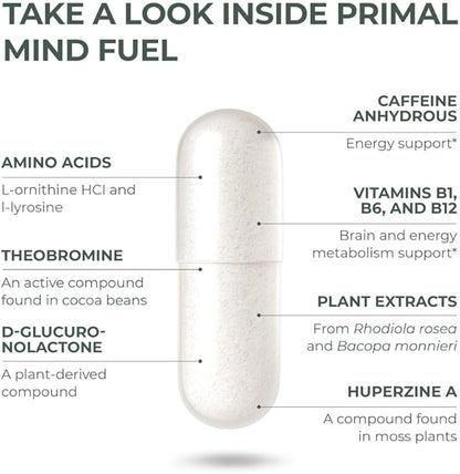 Brain Supplement by Primal Harvest, Primal Mind Fuel Brain Booster for Focus, Energy, Clarity, and Brain Health 30 Capsules Nootropics Brain Support Supplement for Men and Women