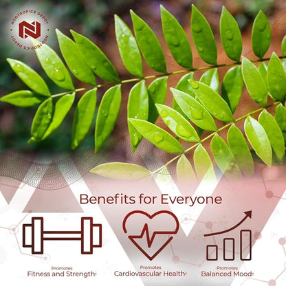 Nootropics Depot Tongkat Ali Extract Capsules | 100mg | 120 Count | 10% Eurycomanone by HPTLC | Eurycoma longifolia Root Extract