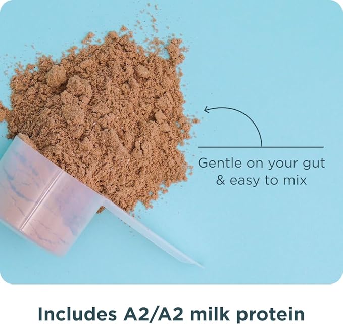 Ancient Nutrition Grass Fed Whey Protein, Milk Chocolate, 23g Protein, 20 Servings, Hydrolyzed Collagen Peptides, Organic Regenerative A2/A2 Milk Protein