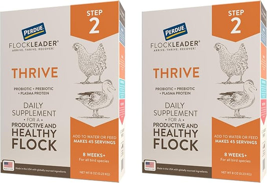 Thrive, Daily Probiotic & Prebiotic Water Supplement for Chickens 8+ Weeks Old, 8 oz (Pack of 2)