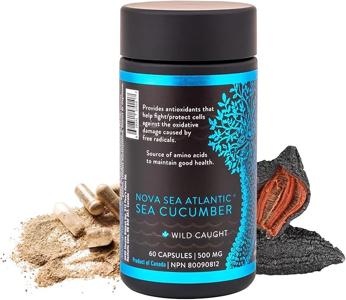 Sea Cucumber Supplement, Wild Caught Sea Cucumber Capsules with Fucosylated Chondroitin Vitamins Mineral — Natural Antioxidant Supplement for Elderly Adult Child (60 Capsules)