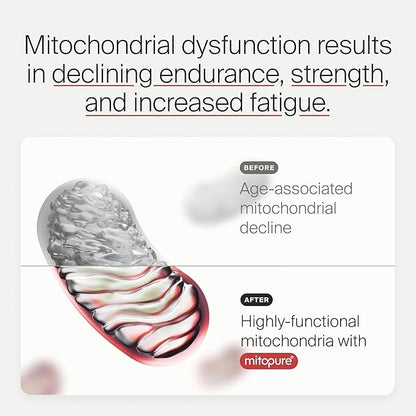 Timeline Mitopure Urolithin A - Clinically Proven Supplement for Healthy Aging and Cellular Renewal - Anti-Aging Mitoceutical for Muscle Strength, Endurance and Longevity - 60 Softgels