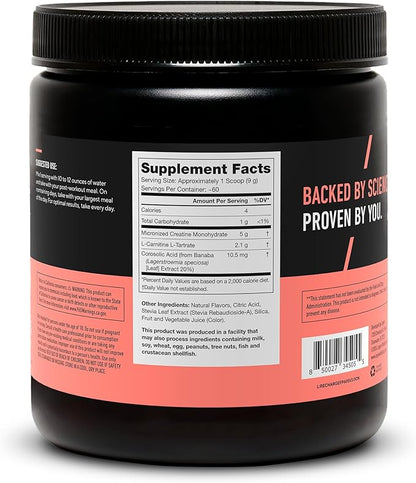 Legion Recharge Post Workout Supplement - All Natural Muscle Builder & Recovery Drink With Creatine Monohydrate. Naturally Sweetened & Flavored, Safe & Healthy. 60 Servings. (Fruit Punch, 60 Servings)