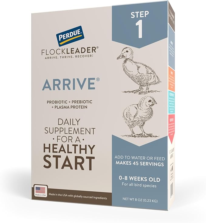 Arrive, Daily Probiotic & Prebiotic Poultry Supplement for Young Chickens 0-8 Weeks Old, 8 oz