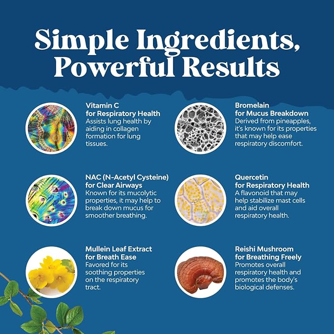 Lung Detox Mullein Leaf Capsules - Purifying Mullein Lung Cleanse Complex with NAC Quercetin & Cordyceps Extracts - Mullein Leaf Herb Respiratory Supplement for Sinus Immunity & Breathing Support