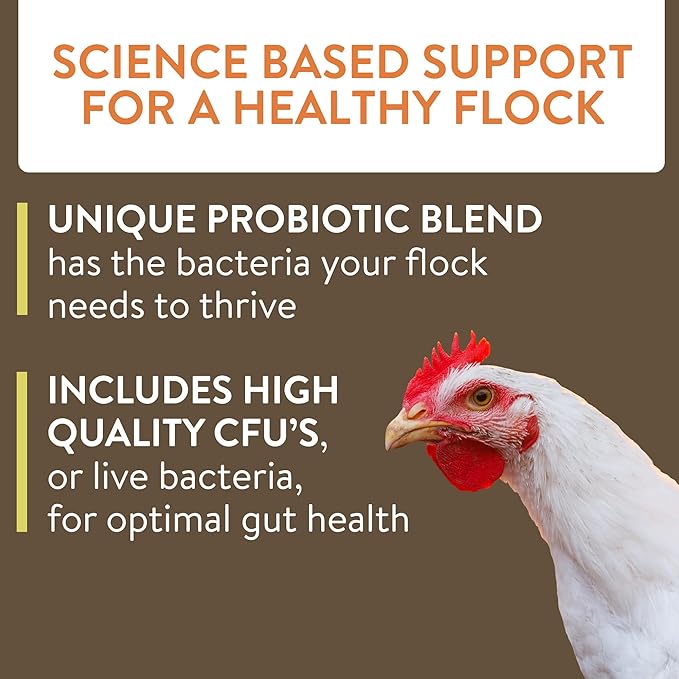 Thrive, Daily Probiotic & Prebiotic Water Supplement for Chickens 8+ Weeks Old, 8 oz (Pack of 2)