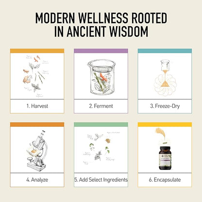Living Alchemy Gut Health Supplements - Your Flora Probiotic Sensitive with Fermented Soybean, Lemon Balm, Peppermint, Prebiotics, Gut Cleanse Detox for Men & Women - Vegan, Non-GMO, 60 Pcs