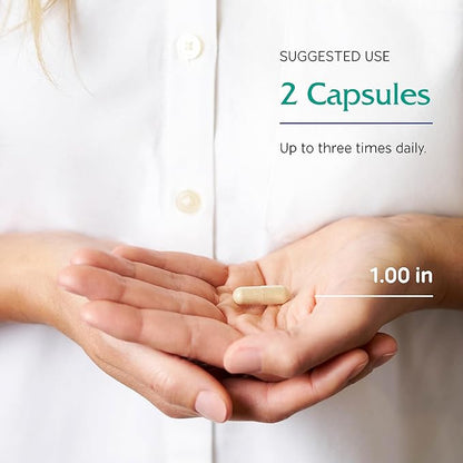 Vitanica Immune Symmetry, Immune Support, Vegan, 60 Capsules