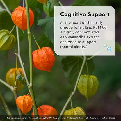 Irwin Naturals Mental Clarity Information Retention - 60 Liquid Soft-Gels, Pack of 2 - Helps Increase Attention to Detail & Retain and Recall Information Faster - 60 Total Servings