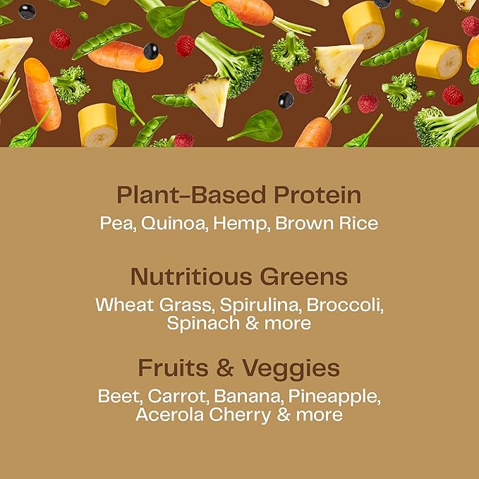 Amazing Grass Organic Plant Protein Blend: Vegan Protein Powder, New Protein Superfood Formula, All-In-One Nutrition Shake with Beet Root, Chocolate Peanut Butter, 10 Servings, 14.8 Ounce (Pack of 1)