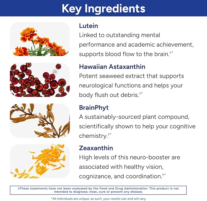 Gundry MD Power Phenols Brain Health Supplement for Cognition, Focus, Motivation, Productivity, and Energy - (30 Servings)