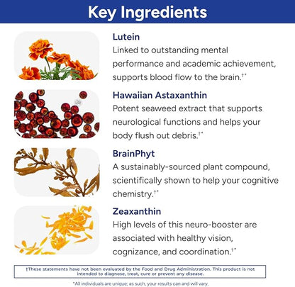 Gundry MD Power Phenols Brain Health Supplement for Cognition, Focus, Motivation, Productivity, and Energy - (30 Servings)