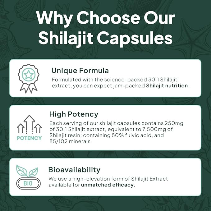 One-Per-Day Shilajit for Men and Women - Natural and Potent Shilajit Supplement for Age-Defying, Bone Strength, Hormone Support and More - 3 Bottles Shilajit Capsules