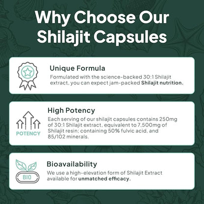 One-Per-Day Shilajit for Men and Women - Natural and Potent Shilajit Supplement for Age-Defying, Bone Strength, Hormone Support and More - 6 Bottles Shilajit Capsules
