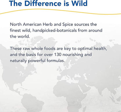 North American Herb & Spice NutriHemp Raw - 28.2 oz - Sprouted Brown Rice & Hemp Protein - Supports Healthy Muscle, Whole Body Nutrition & Energy Function - Vegan, Non-GMO - 28 Servings