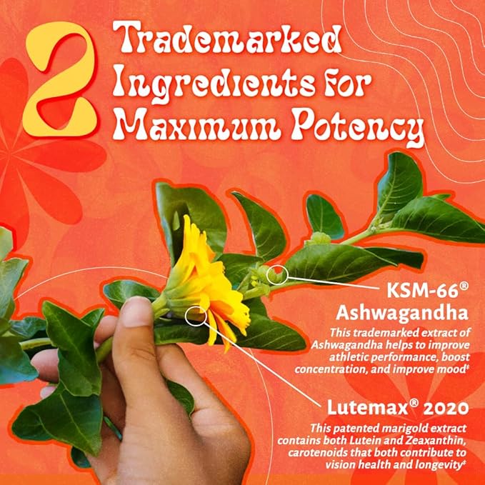 LUV Everyday™ Women’s 50+ Multivitamin, Women’s 50+ Adult Formula Daily Nutritional Support with Iron, Calcium, KSM-66 Ashwaganda, CoQ10, Lycopene, and Lutemax 2020 - Non GMO Gluten Free - 60 Capsules